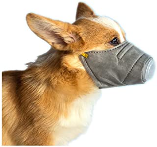 respiratore animale domestico