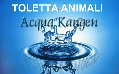 acqua toletta animali 400x250