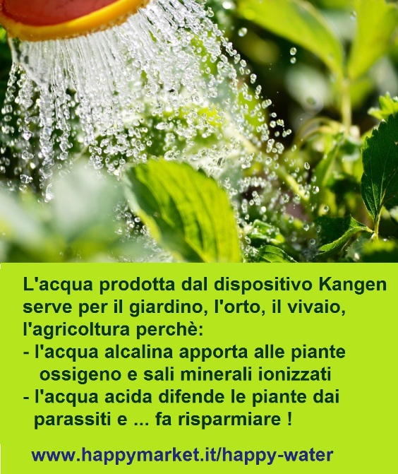 importanza acqua per le piante564x691