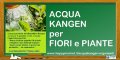 C09- Cerco, chiedo, informazioni, per uso di acqua kangen, per i fiori, le piante, da interno, da esterno,per il giardino, orto