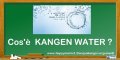 A04 - Cerco, chiedo, cosa e, kangen water, acqua kangen, acqua alcalina, ionizzata, elettrolitica, prodotta, generata, da acqua del rubinetto