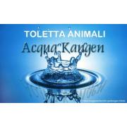 acqua-toletta-animali-400x250.jpg