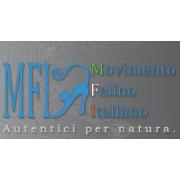 mfi_logo.jpg