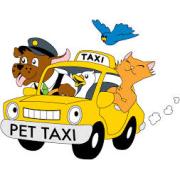 pet_taxi1.jpg