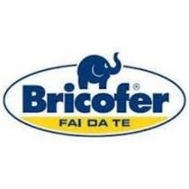 bricofer-logo.jpg