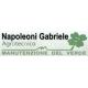napoleoni_logo.jpg