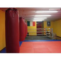 tres_dance_boxe1.jpg